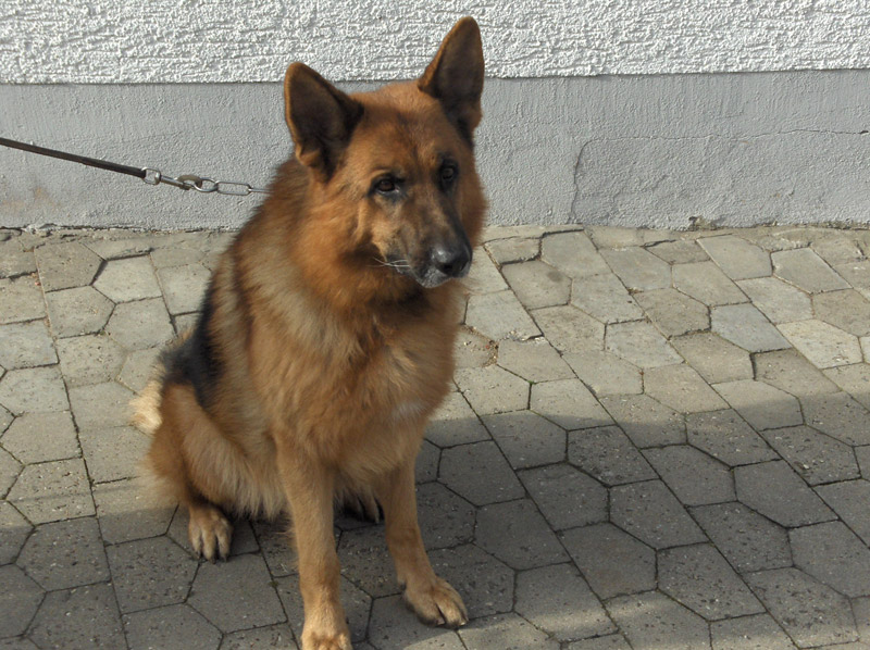 Marco Müller